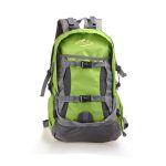 Etiam cursus scelerisque massa ac facilisis sapien